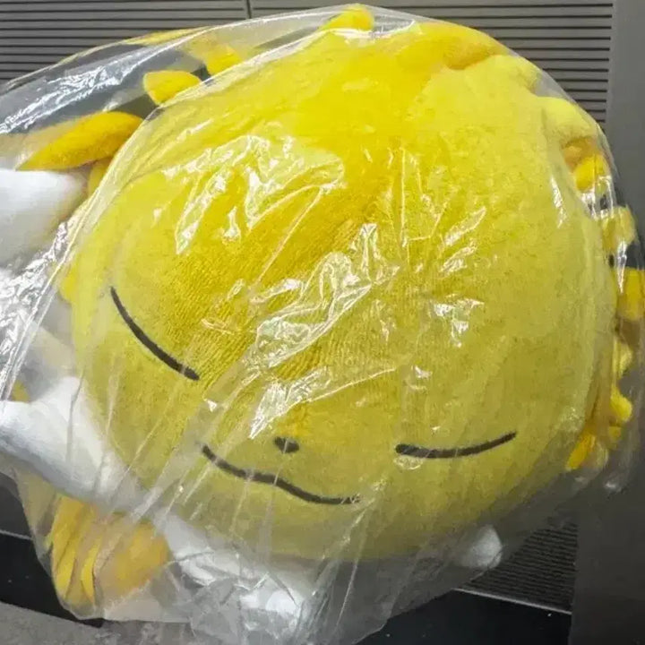 [BUNJANG] Pokemon Center Sleeping Jolteon Plush / 포켓몬센터 포켓몬스터 스야스야 쥬피썬더 인형