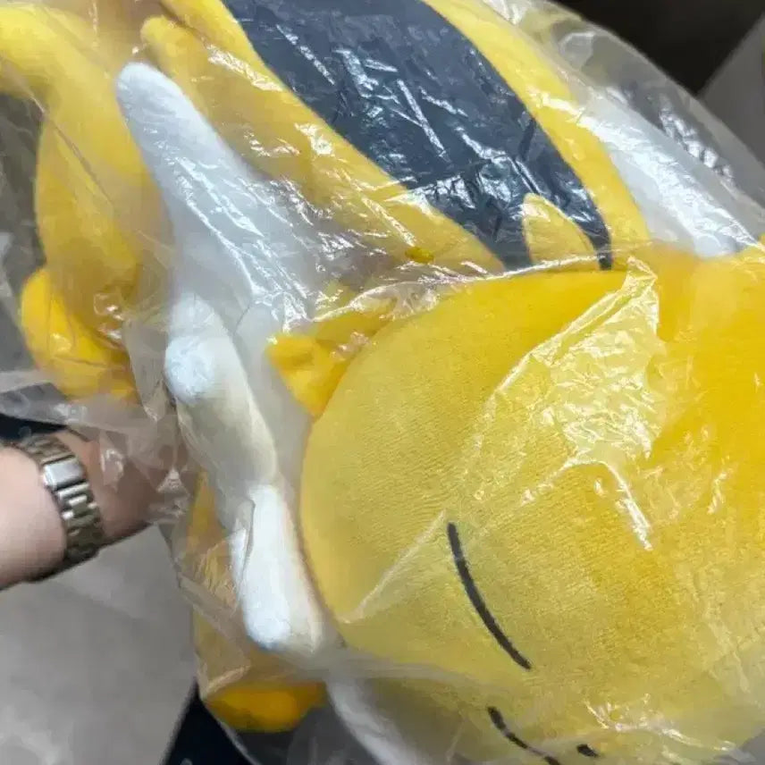 [BUNJANG] Pokemon Center Sleeping Jolteon Plush / 포켓몬센터 포켓몬스터 스야스야 쥬피썬더 인형