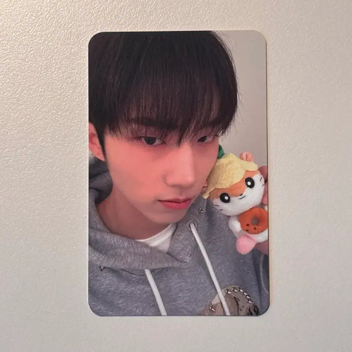[BUNJANG] P1Harmony Jiwoong Sanrio Photocard / 피원하모니 지웅 산리오 포카