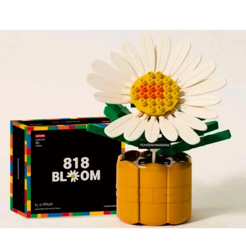 [BUNJANG] G-Dragon x Oxford x PEACEMINUSONE 818-Piece Building Blocks Set / 옥스포드 GD 콜라보 818 피스마이너스원