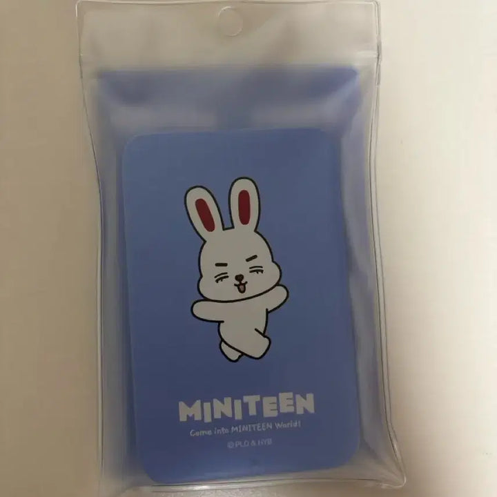 [BUNJANG] SEVENTEEN S.COUPS Miniteen Cherry Teencase Sticker / 세븐틴 에스쿱스 미니틴 쵯체리 틴케이스 스티커