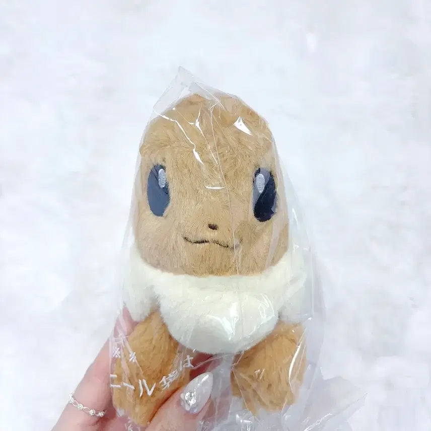 [BUNJANG] Eeevee Plush Toy / 최저가) 쿠타쿠타탓타 이브이 인형