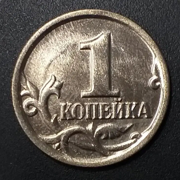 [BUNJANG] 2002 Russia 1 Kopeck Coin / [미사용] 2002년 러시아 1코페이카 동전 w1197