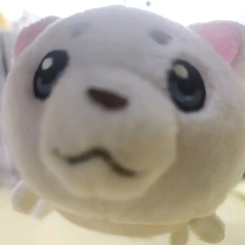 [SOLD OUT] 은혼 사다하루 인형 키링(하자ㅇ)