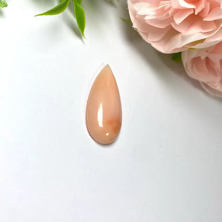 [BUNJANG] Natural Coral Cabochon Gemstone / 천연 산호 캐보션 원석  소장품 보석