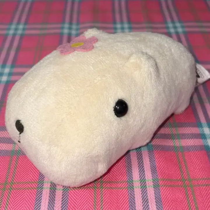 [BUNJANG] Capybara-san Cheek Light-Up Plush / 카피바라상