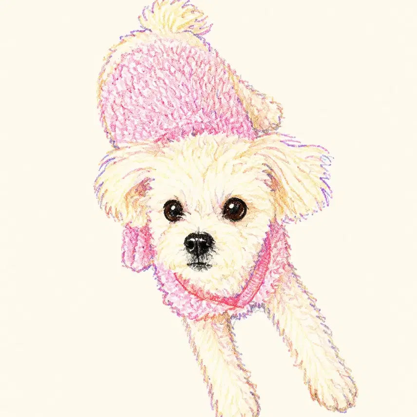 [BUNJANG] Pet Portrait Commission - Dogs &amp; Cats / 그림 커미션 강아지 고양이 그림 반려동물 그림