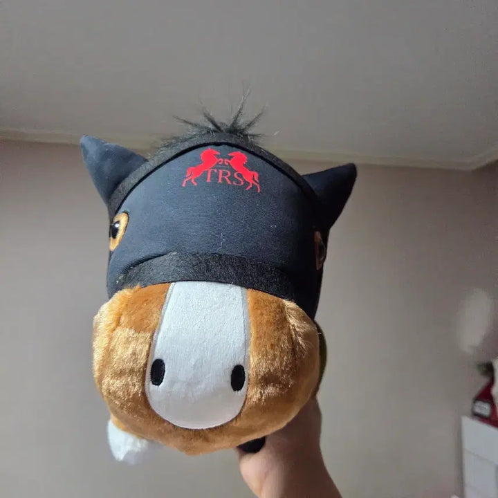 [BUNJANG] Uma Musume Large Character Plush / 일본 경주마 승마 말 인형 굿즈 우마무스메 말딸 대형 캐릭터 경마 16번