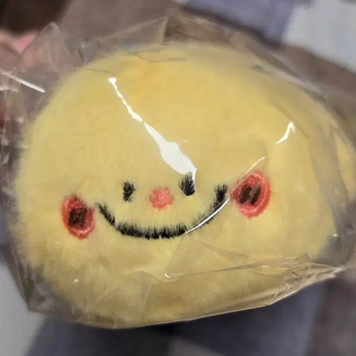 [BUNJANG] Double-Sided Bee Turtle Keychain Doll / 양면 꿀벌 거북이 키링 인형