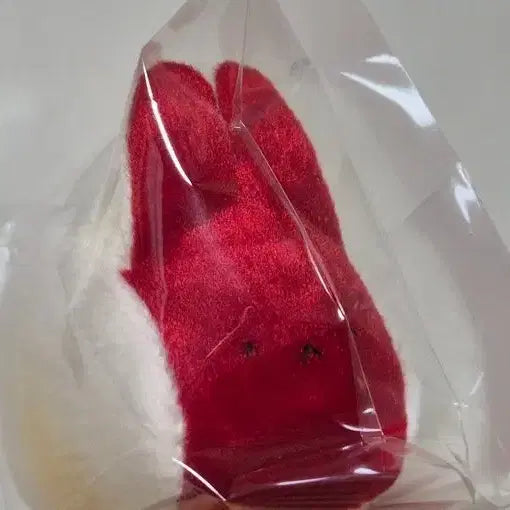 [BUNJANG] Sadal Melik Apple Mochi Rabbit Plush / 사달멜리크 사과토끼모찌 인형