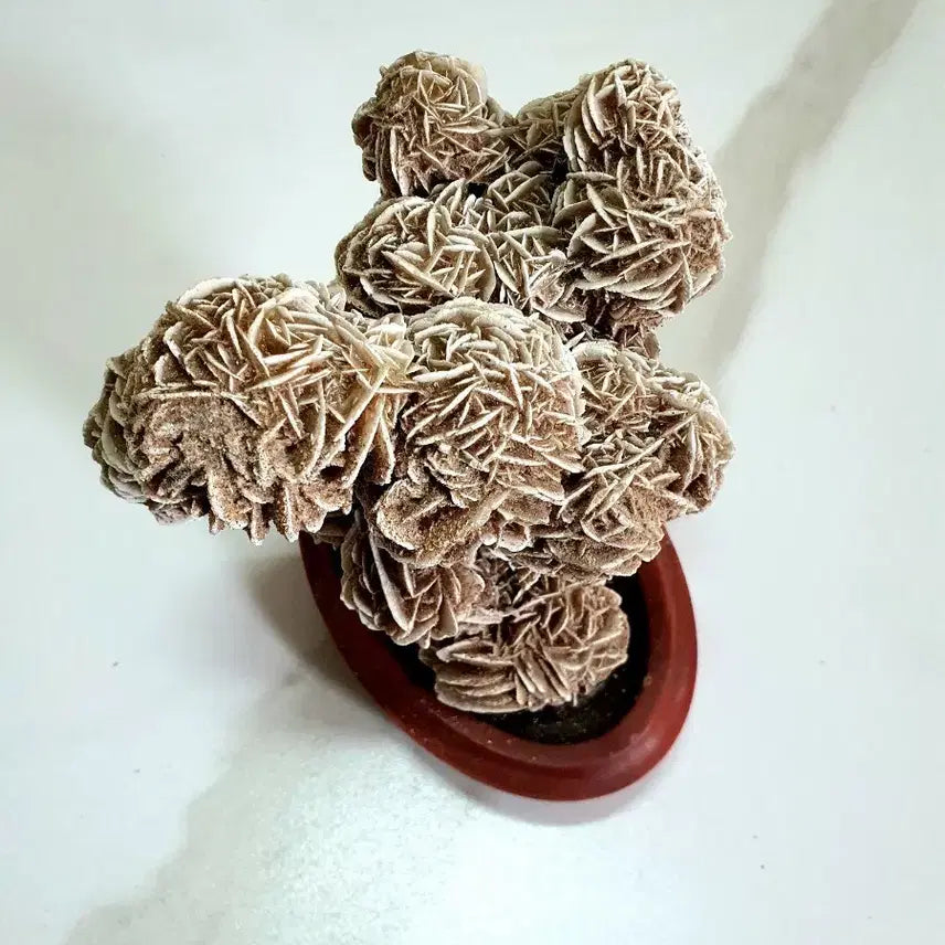 [BUNJANG] Desert Rose Crystal Sculpture / 수석- 사막의 장미