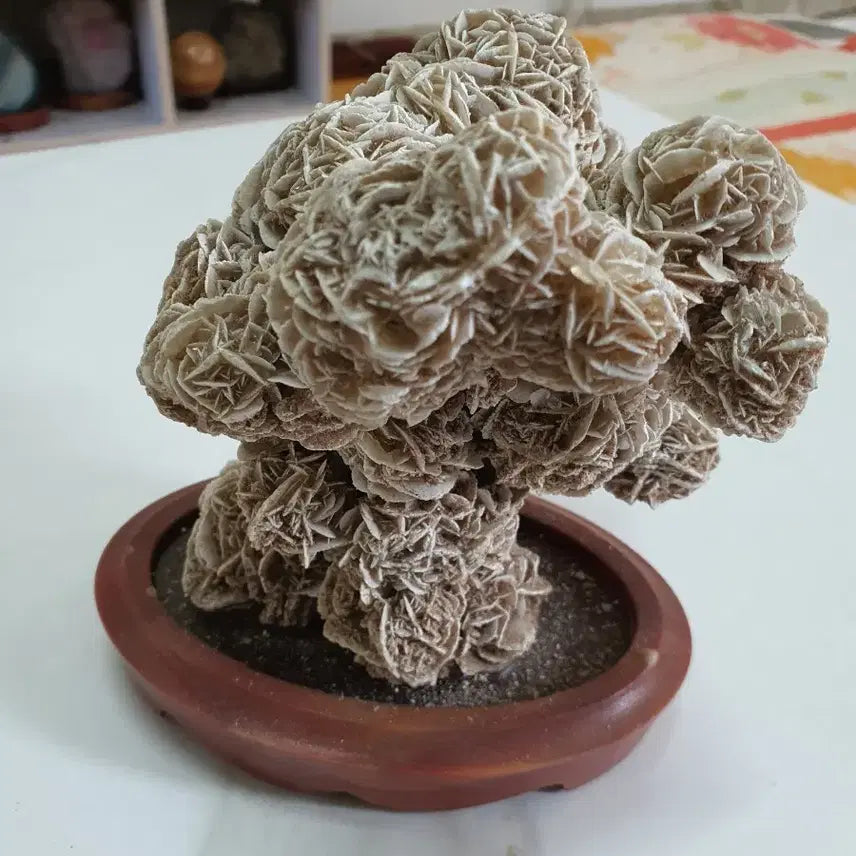 [BUNJANG] Desert Rose Crystal Sculpture / 수석- 사막의 장미