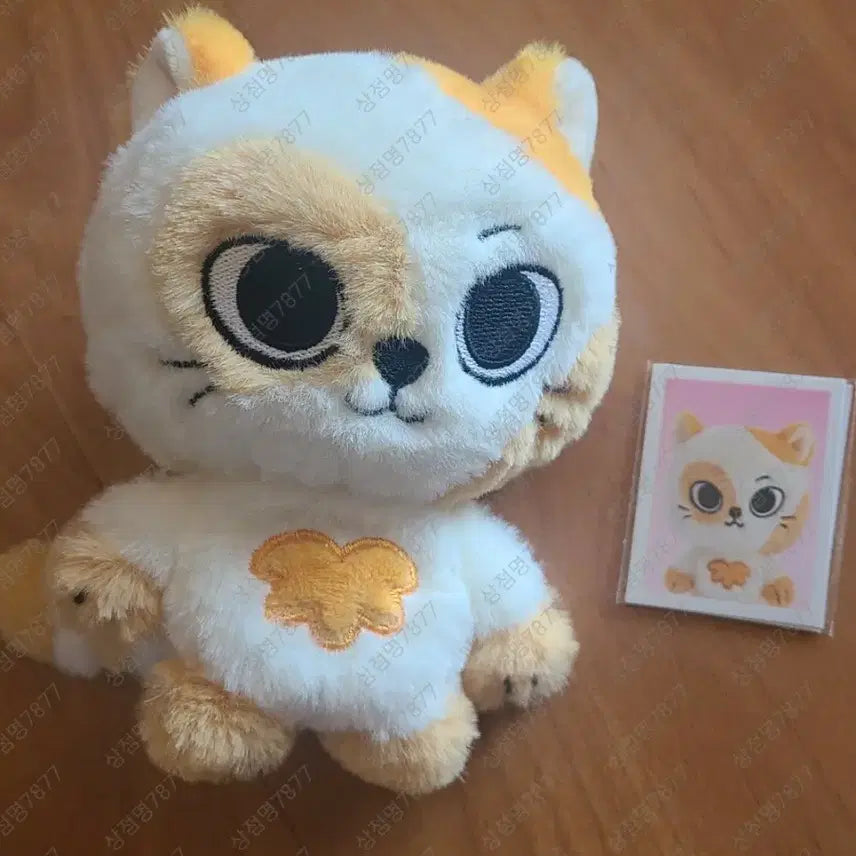 [BUNJANG] BOYNEXTDOOR Sungho Catty Plush Keychain / 쁘넥도 캣삐 플러쉬키링 판매