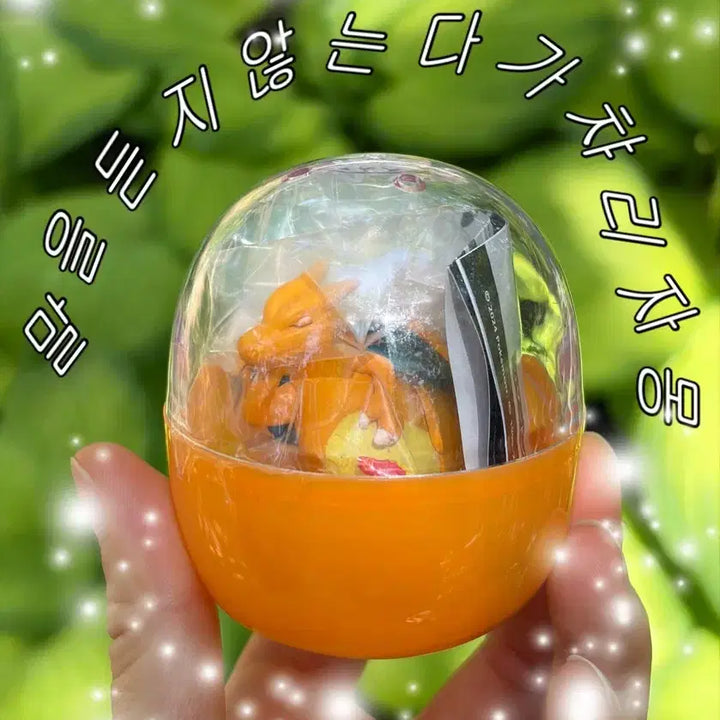 [BUNJANG] Pokémon "Doesn&
