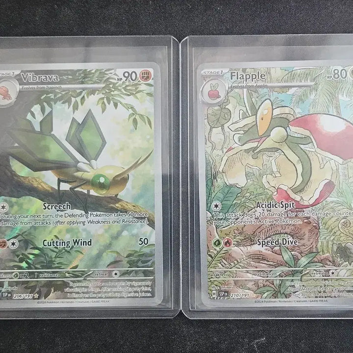 [BUNJANG] North American Vivarava Ephraim Pokemon Card / 북미 비브라바 에프룡 포켓몬카드