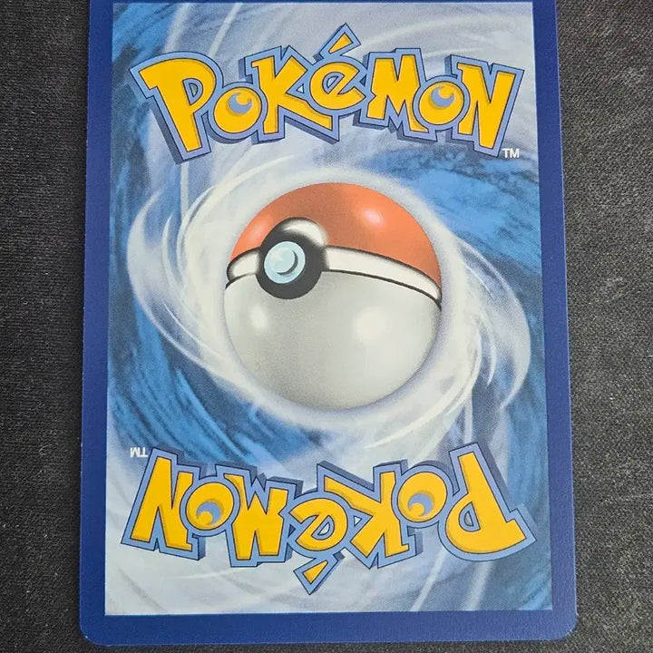 [BUNJANG] North American Vivarava Ephraim Pokemon Card / 북미 비브라바 에프룡 포켓몬카드