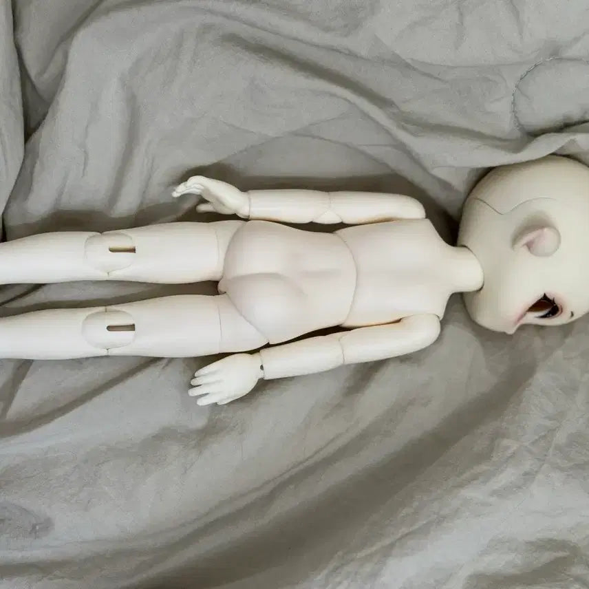 [BUNJANG] Dollypop Anycho Meong Ball-jointed Doll / 구체관절인형 아니메 usd 돌리팝 애니츄 멍