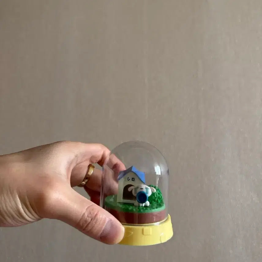 [BUNJANG] White Dog Terrarium / 흰둥이 테라리움