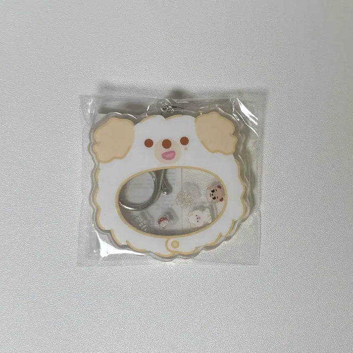 [BUNJANG] DAY6 Pretty Merz Shaker Keyring Don / 데이식스 쁘띠멀즈 쉐이커키링 돈