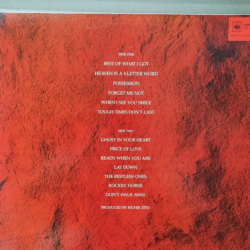 [BUNJANG] Bad English 1989 LP / 배드 잉글리쉬 BAD ENGLISH LP 1989 지구레코드