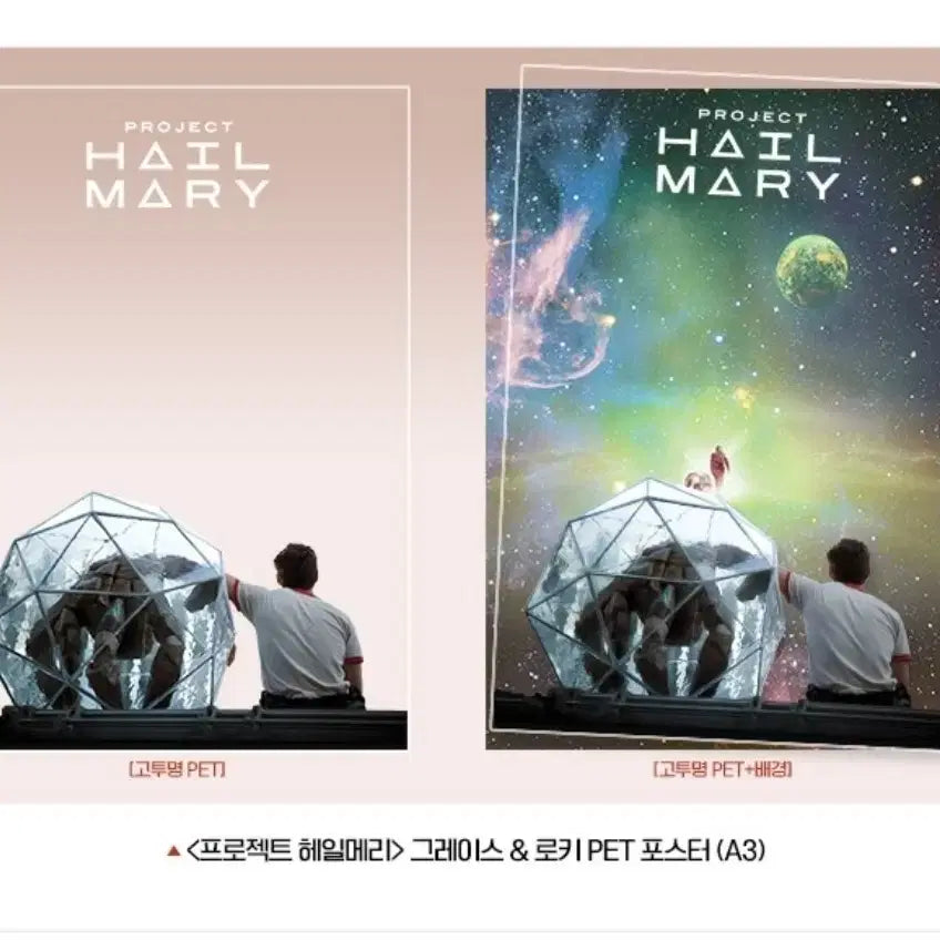 [BUNJANG] Project Hail Mary PET Poster / 프로젝트 헤일메리 앵콜 PET 9주차 포스터 판매