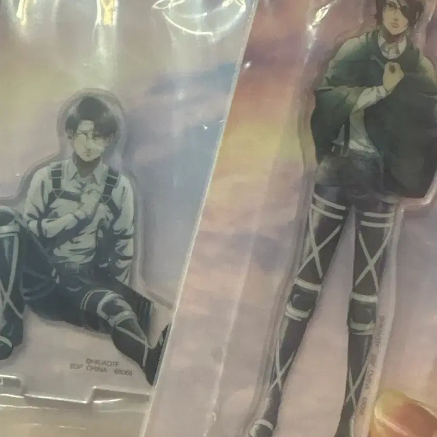 [BUNJANG] Levi &amp; Hanji &