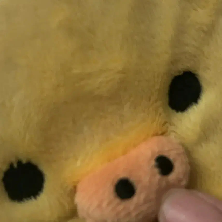 [BUNJANG] Kiiroitori Pouch / 키이로이토리 파우치