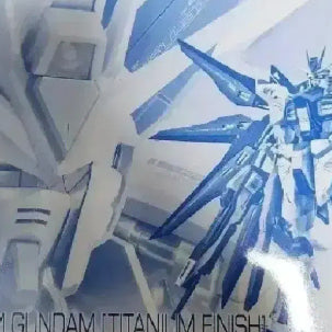 [BUNJANG] RG Strike Freedom Titanium Fetish Limited Edition Model Kit / 미개봉 rg 스트라이크 프리덤 티타늄 피티쉬 팝니다