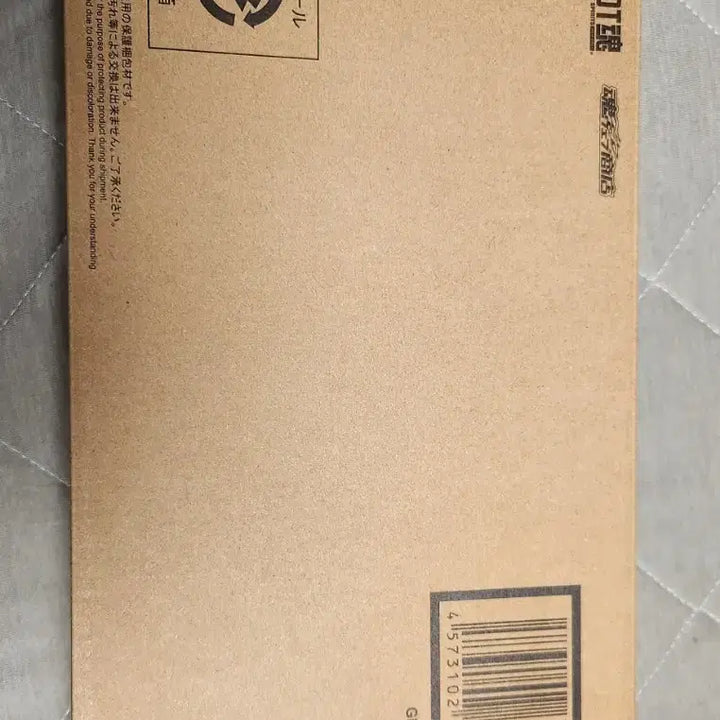 [BUNJANG] Robot Spirits Ghost Gundam Action Figure / 로봇혼 고스트 건담