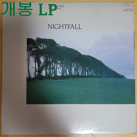 [BUNJANG] David Lanz Nightfall Unsealed LP / 데이빗란츠 (David Lanz) - Nightfall (개봉, LP)