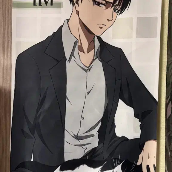 [BUNJANG] Attack on Titan Levi Tapestry / 진격의 거인 리바이 태피스트리