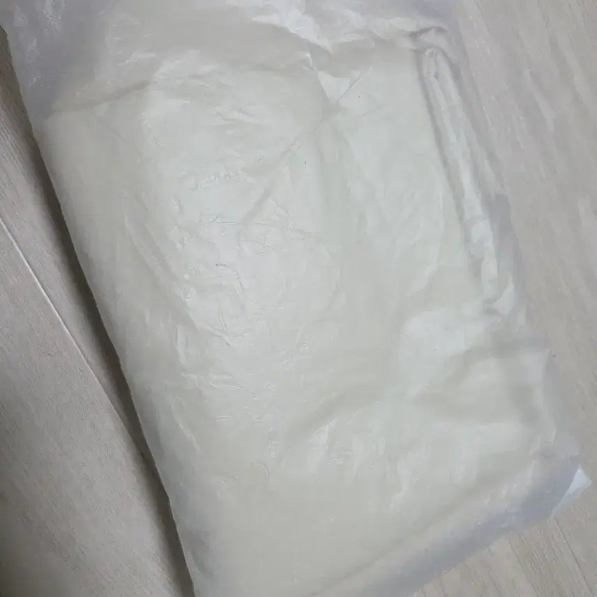 [BUNJANG] Hera Padded Tote Bag / 헤라 패디드 토트백