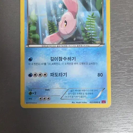 [BUNJANG] Pokemon Card Torchic XY / 포켓몬 카드 맘복치 XY