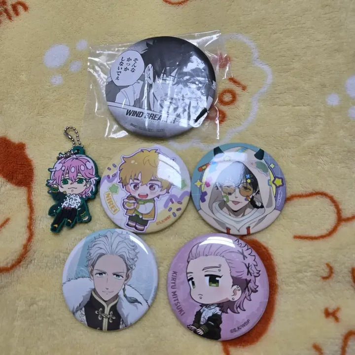 [BUNJANG] Wind Breaker Gacha Badge &amp; Keyring Set / 윈드브레이커 뱃지 &amp; 키링 세트 윈브레 가챠