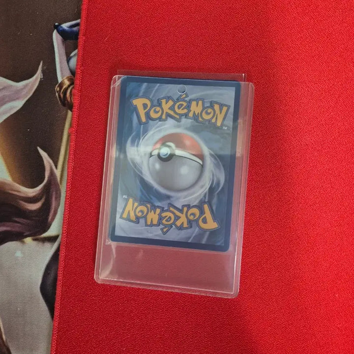 [BUNJANG] Pokemon Card Mega Greninja EX / 포켓몬 카드 메가개굴닌자 EX MUR Brg 10등급 + 그외카드
