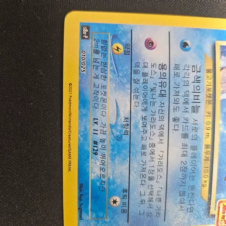 [BUNJANG] Shiny Magikarp Pokémon Card (Graded) / 빛나는 잉어킹 포켓몬 카드 (등급용)  팝니다