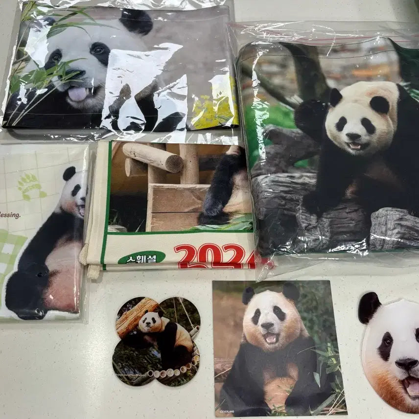 [BUNJANG] Fu Bao Bundle Set Acrylic Coasters / 푸바오 굿즈 일괄