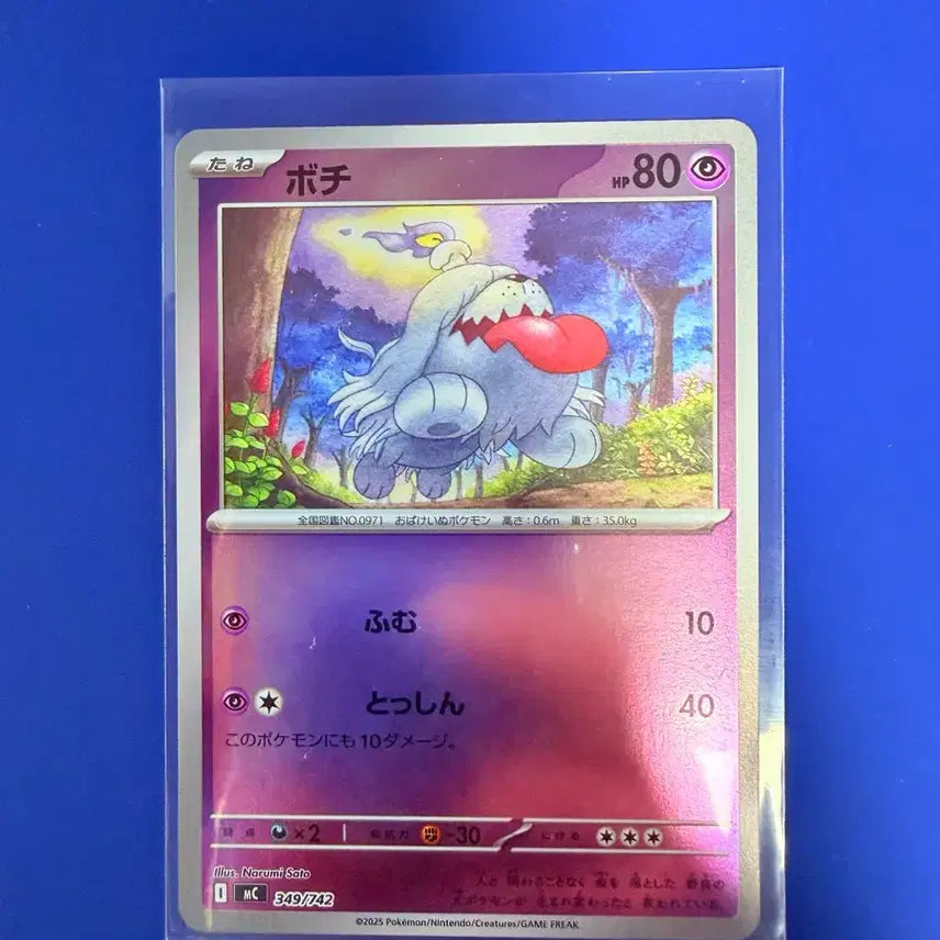 [BUNJANG] Pokemon Card 100 Deck Mirror Japanese / 포켓몬카드 100덱 미러 일판