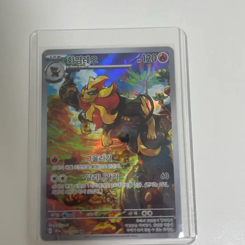 [BUNJANG] Pokemon Card Pyroar AR / 포켓몬 카드 화염레오 AR