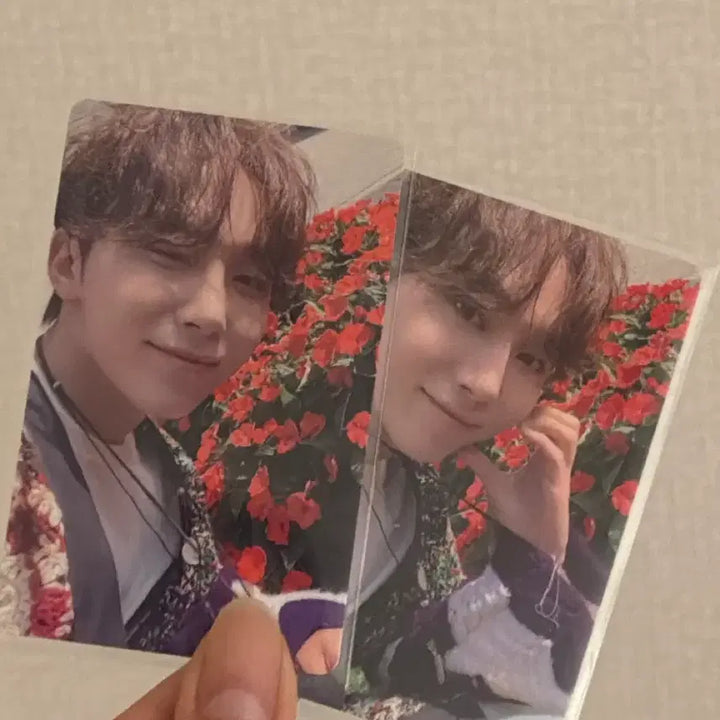 [BUNJANG] SEVENTEEN Seungkwan Musicus Chairman Limited Photocard / 세븐틴 승관 음악의신 회장한정 포카 양도