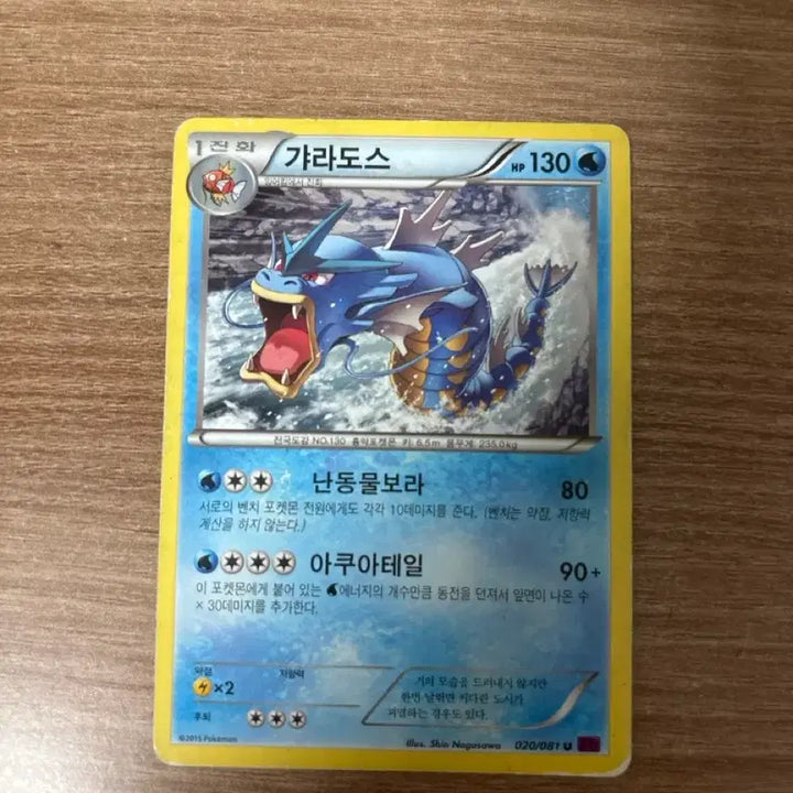 [BUNJANG] Gyarados Pokémon Card / 갸라도스
