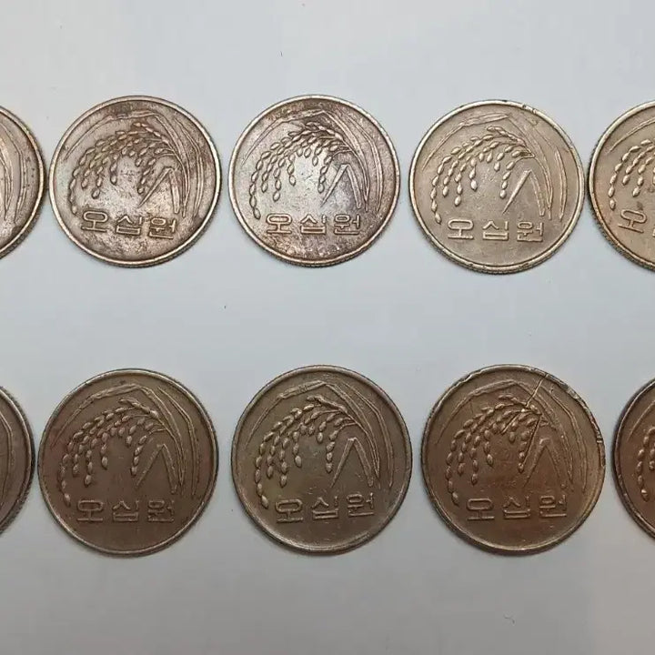 [BUNJANG] 10 x 2000 50 Won Coins Bundle / 2000년 50원 동전 10개 일괄