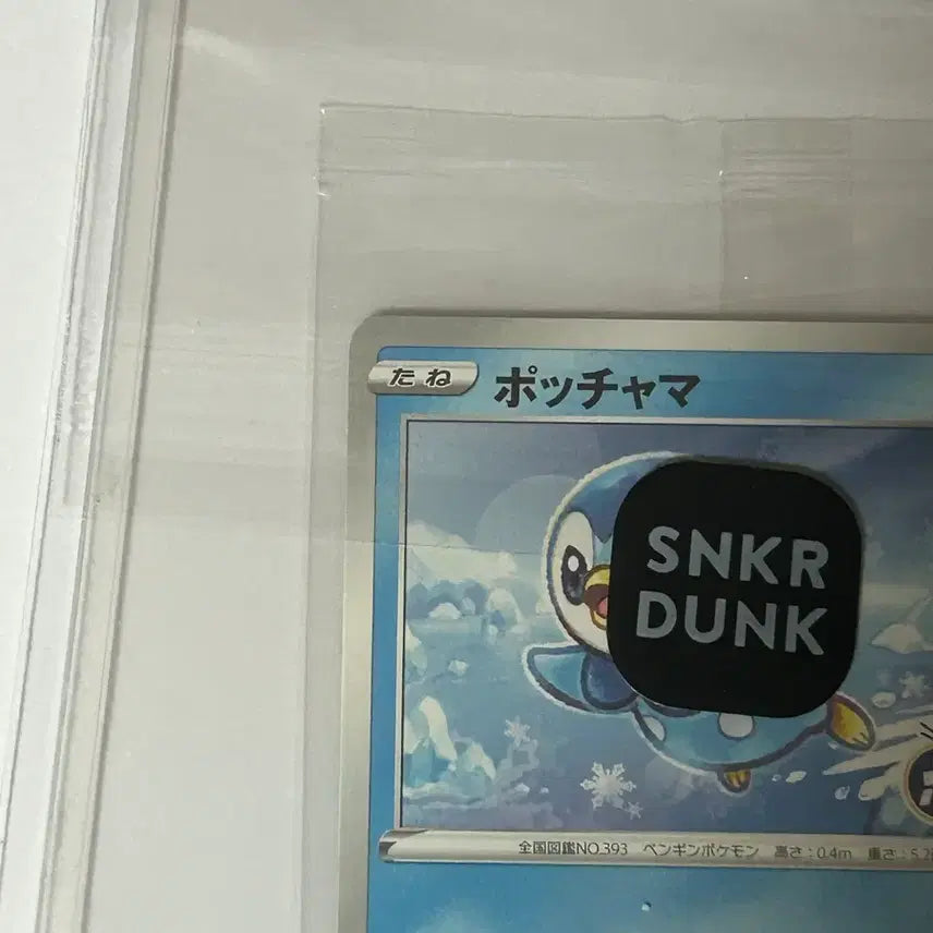 [BUNJANG] Pokemon Piplup Promo Card / 포켓몬카드 팽도리 프로모
