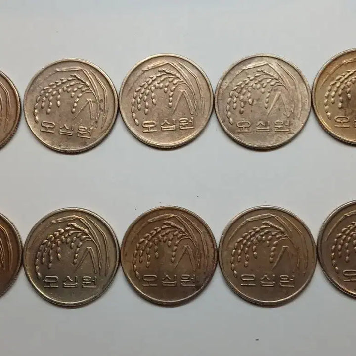 [BUNJANG] 1995 50 Won Coin Bundle (10 pieces) / 1995년 50원 동전 10개 일괄