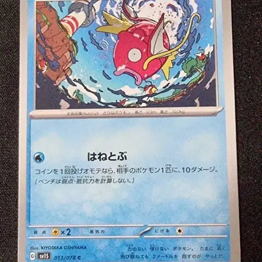 [BUNJANG] Japanese Magikarp / 일판 잉어킹