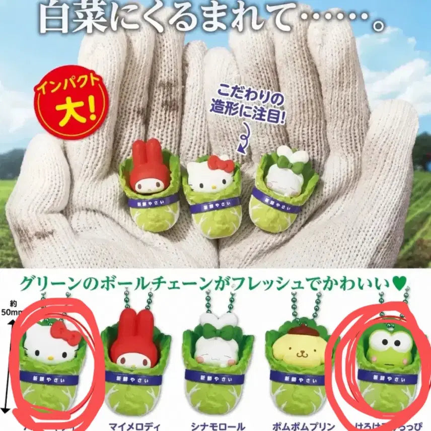 [SOLD OUT] 일괄) 산리오 캐릭터 배추 마스코트 케로피 키티