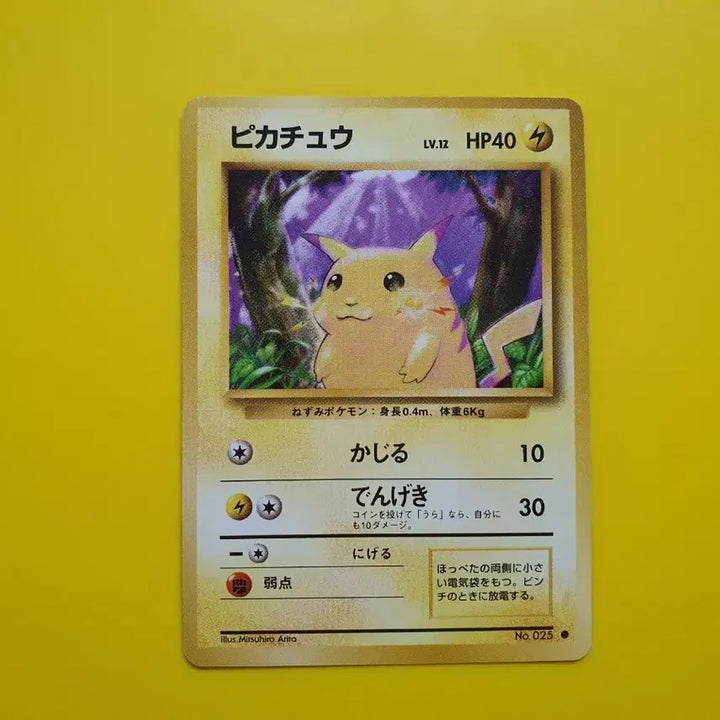 [BUNJANG] Pokemon Card Pikachu 1996 1st Edition Japanese Near Mint / 포켓몬카드 1996 큰 피카츄 초판 일판 일본판 5 극미품