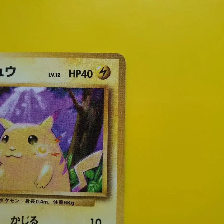 [BUNJANG] Pokemon Card Pikachu 1996 1st Edition Japanese Near Mint / 포켓몬카드 1996 큰 피카츄 초판 일판 일본판 5 극미품