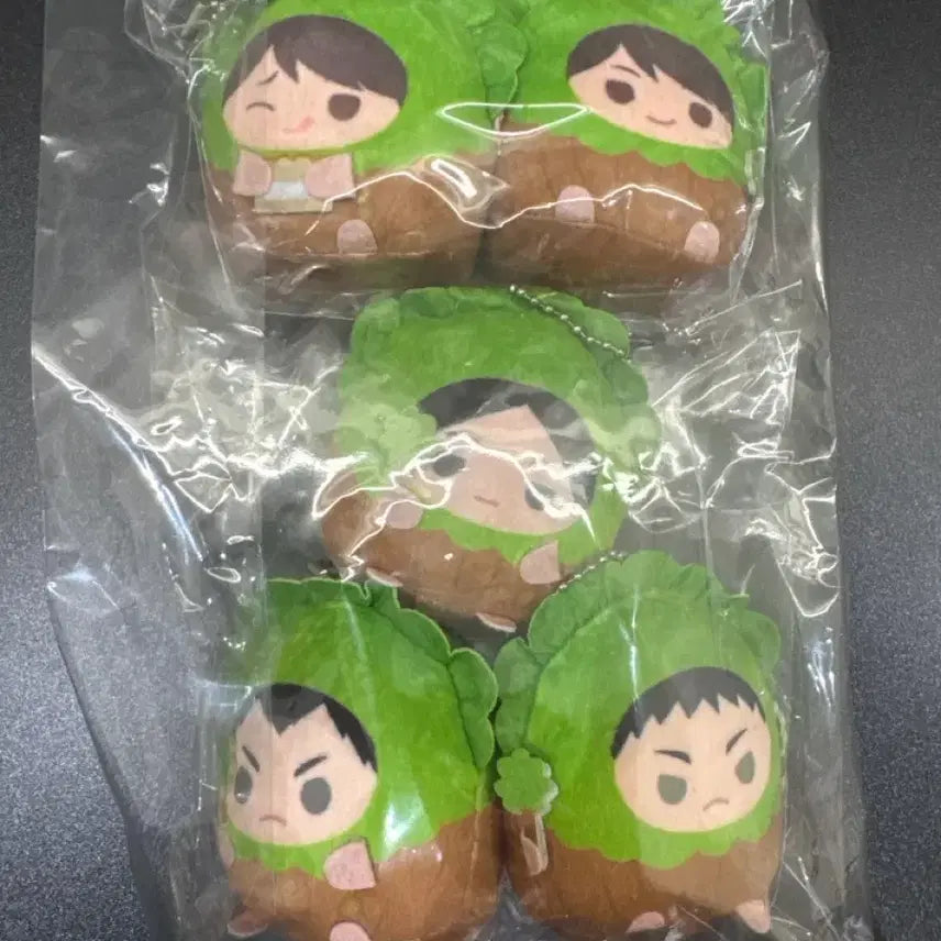 [BUNJANG] Haikyu!! Aoba Johsai Tenorizu Plush (Includes POB) / 하이큐 테노린즈 아오바조사이 (특전 포함)