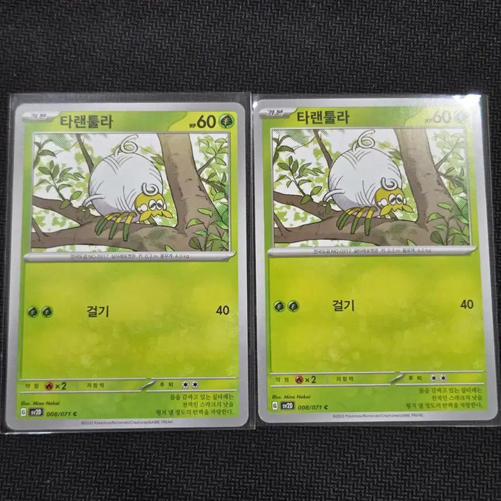 [BUNJANG] Tarantula [sv2D 008/071] Bundle Set Trading Cards / 타랜툴라 [sv2D 008/071] 일괄 / 포켓몬 카드